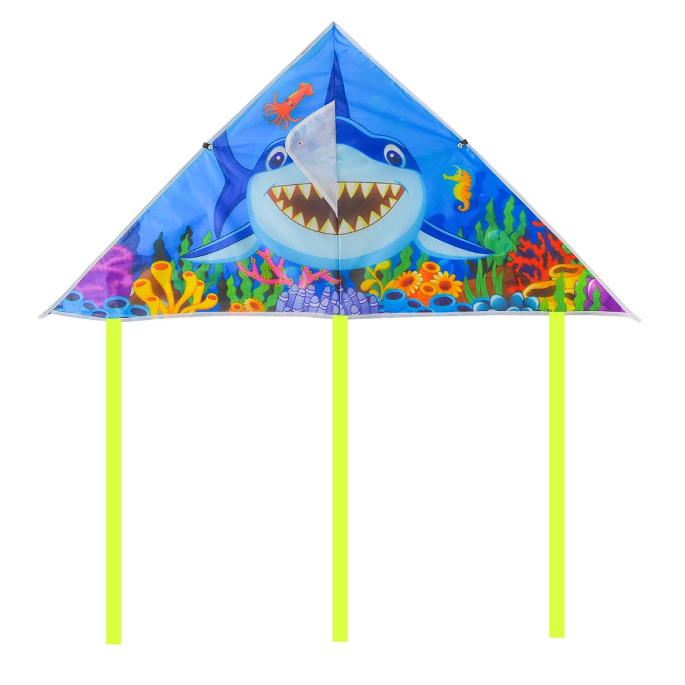 Воздушный змей Shantou VZ2472