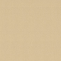 Обои Vinil Арабика СШТ 1-1157 