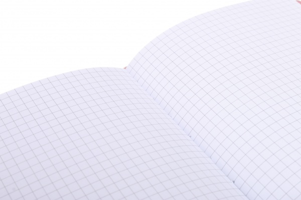 Книга для нотаток Pink notes А5