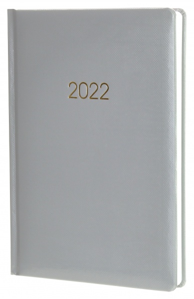 Дневник датированный Spectrum серый Economix A5 2022 E21845