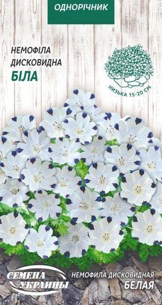 Семена Семена Украины немофила Дисковидная Белая 0,5 г