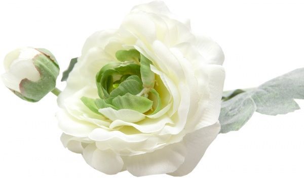 Растение декоративное Лютик 35 см белый Девилон