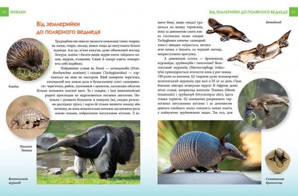 Книга «Хижаки» 978-966-935-587-4