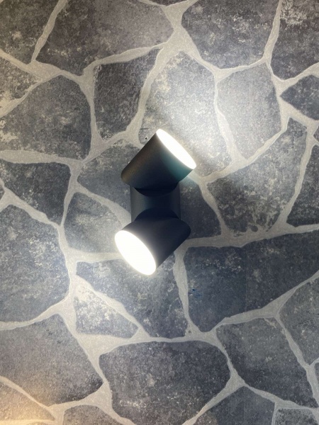 Светильник настенный Blitz 4000K 19165 2x13 Вт черный 