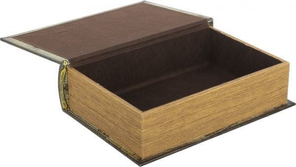 Шкатулка-книга Карта мира 19х7х27 см