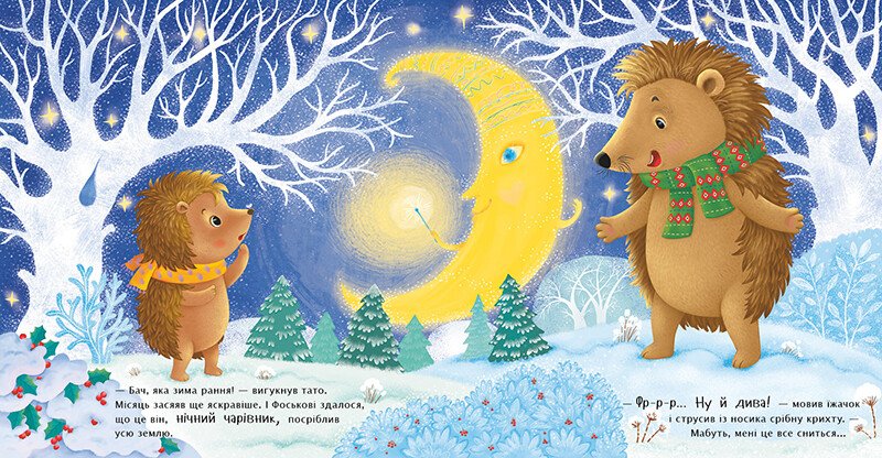 Книга Наталя Мусієнко «Що таке зима?» 9786170991263