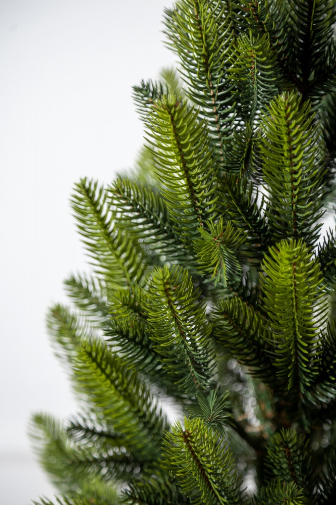 Штучна ялинка Лапландська 0,9 м Весняна в горщику зеленийSiga Group