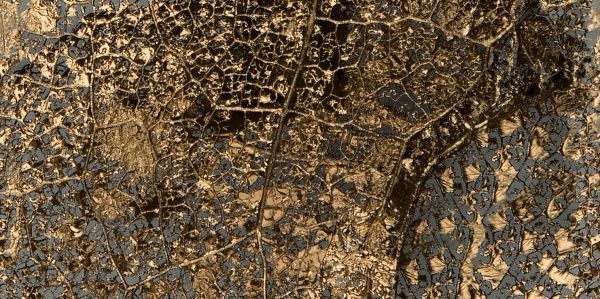 Плитка Ceramika Paradyz CASTELMOLA MAT 29,8х59,8 