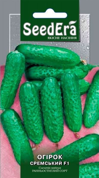 Насіння Seedera огірок Сремський F1 0,5г