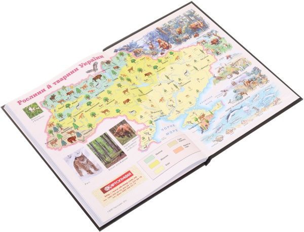 Щоденник шкільний Little Fox Nota Bene