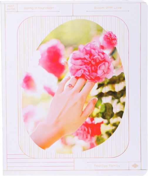 Тетрадь школьная Лайтгрин 60 листов в клеточку