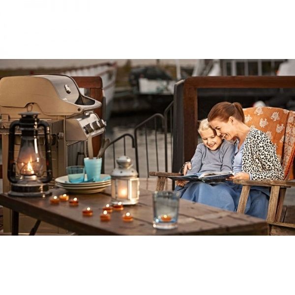 Гриль газовый Weber Spirit E-320 GBS 46613675