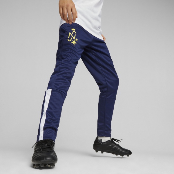 Брюки Puma NEYMAR JR INS. PANTS JR 65880201 р. 128 черный
