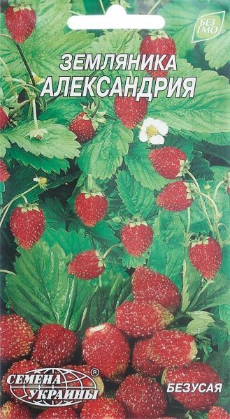 Насіння Семена Украины суниця Олександрія 0,1 г