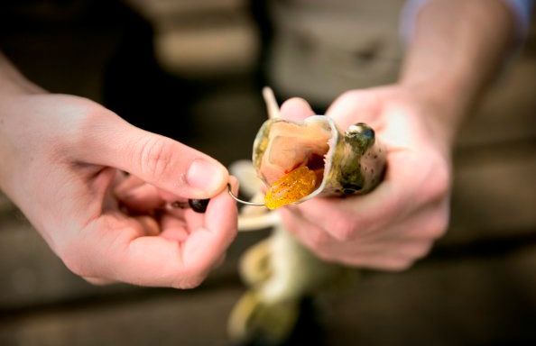 Віброхвіст Basic Lures Sovereign 60 мм 7 шт. 2.5