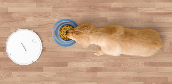 Робот-пылесос Rowenta RR7267WH Explorer S40 Aqua white 