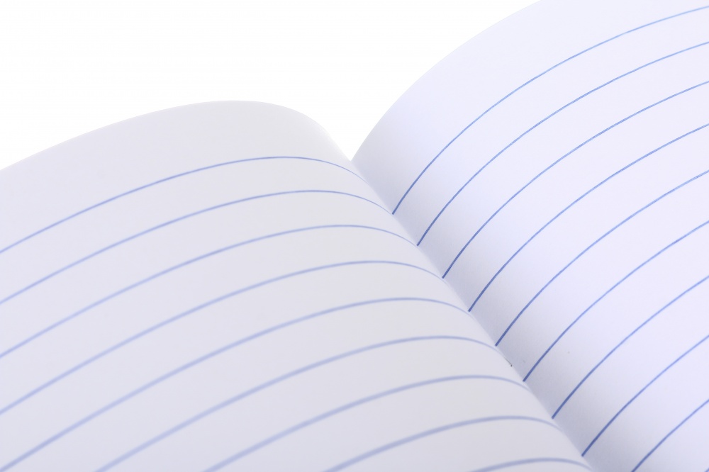 Зошит шкільний Українська мова 48 аркушів у лінійку Nota Bene