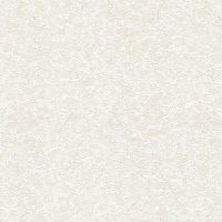 Шпалери Vinil Алонсо ДХН-1251/4 