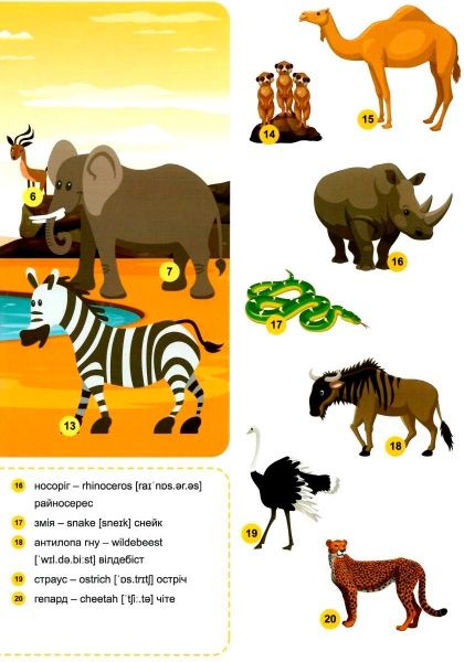 Книга «Наліпки Funny English. Сафарі(+186 наліпок)»