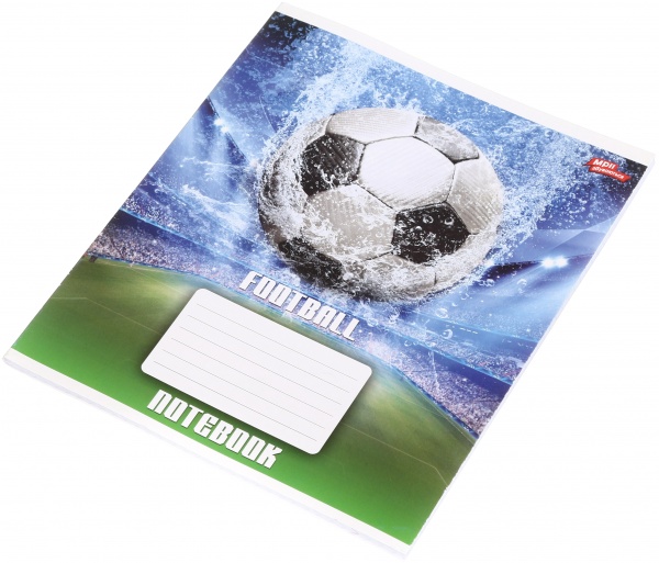 Зошит шкільний 48 аркушів у клітинку в асортименті Мрії збуваються