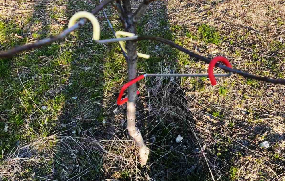 Фиксатор для формирования веток Альтерн L-260 мм