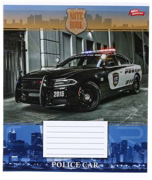 Зошит шкільний з глітером 12 аркушів у лінійку в асортименті Мрії збуваються