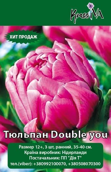 Луковица Тюльпан Double you 3 шт. 