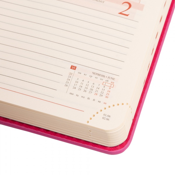 Щоденник датований сливовий 352 стор. Leo Planner Destiny A6 2024