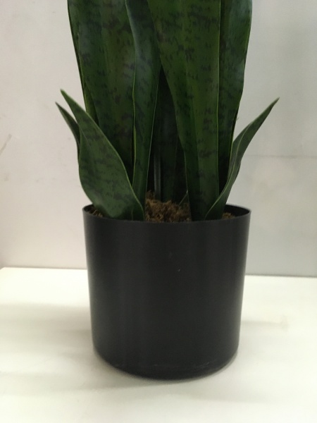 Рослина штучна Sansevieria (DW-10) Engard