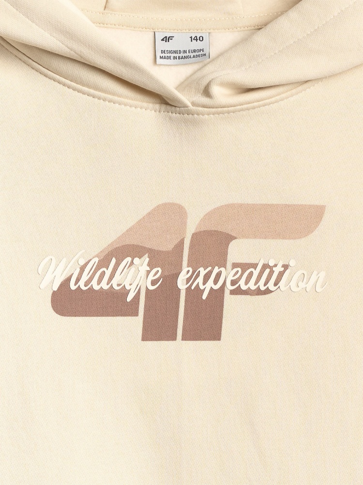 Джемпер 4F SWEATSHIRT F2270 4FJWSS26TSWSF2270-83S р.140 бежевый