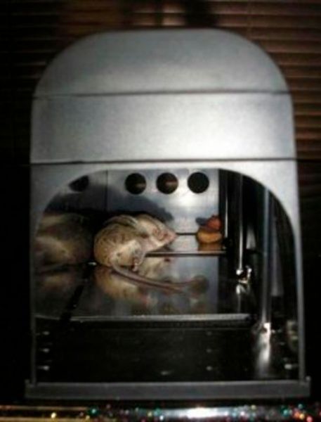 Мишоловка електронна Air Home Comfort GH-190