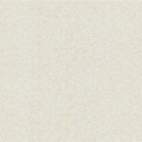 Шпалери зі спіненого вінілу Bravo категорія 538 84005BR81 1,06x10,05 м 