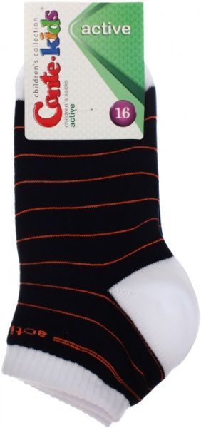 Шкарпетки дитячі Conte-Kids ACTIVE 314 13С-34СП р.16 синій 