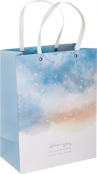 Пакет бумажный 24x31x13 см YST831-7T(Blue)