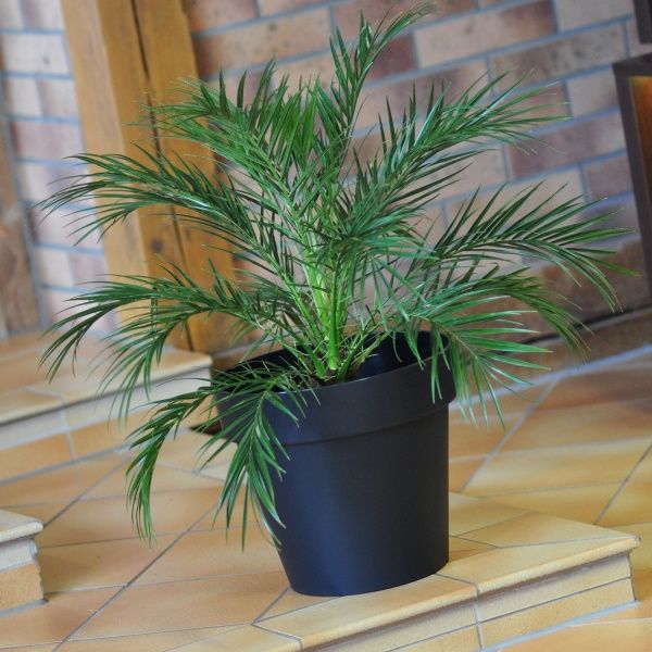 Горшок пластиковый Prosperplast Cube круглый 12л антрацит (76952-433) 