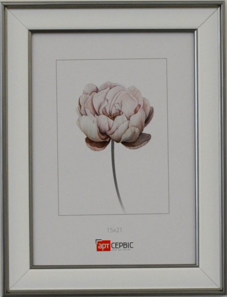 Рамка для фото Арт-Сервіс ЕА-01807 1 фото 15x21 см сріблястий металік 