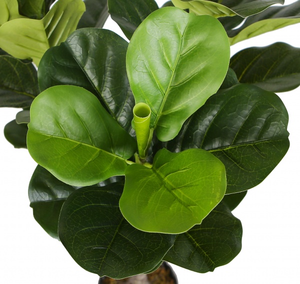 Дерево штучне Fiddle (DW-04) Engard