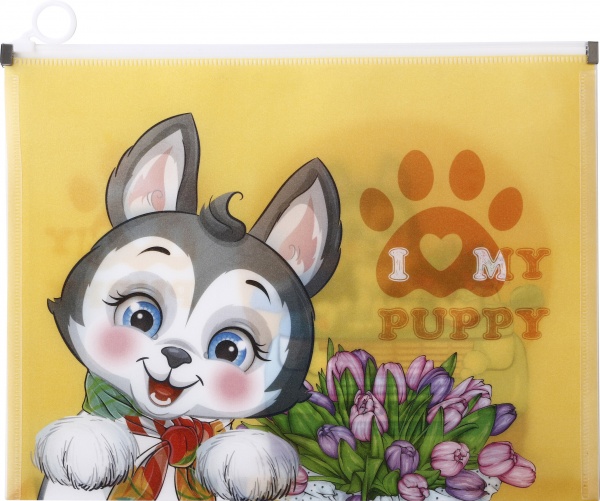 Папка з пластиковою застібкою A4+ Bourgeois ПП10 