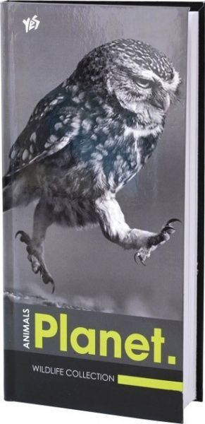 Нотатник Owl 96 аркушів 151032 YES