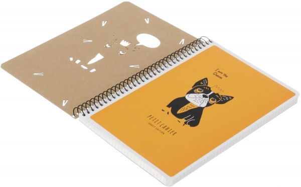 Зошит шкільний А5 96 аркушів у клітинку A5-SC-096-6078K Student Школярик