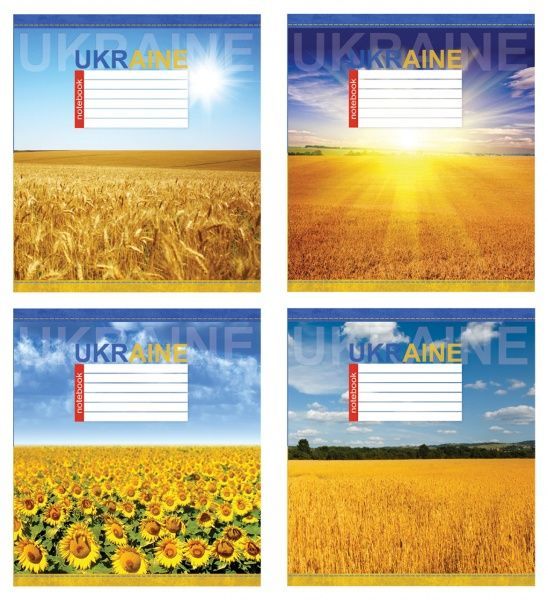 Комплект тетрадей Поля Украины 18 листов в клетку 20 шт. Мечты сбываются