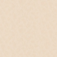 Обои MEGAPOLIS категория 40 9104-05 