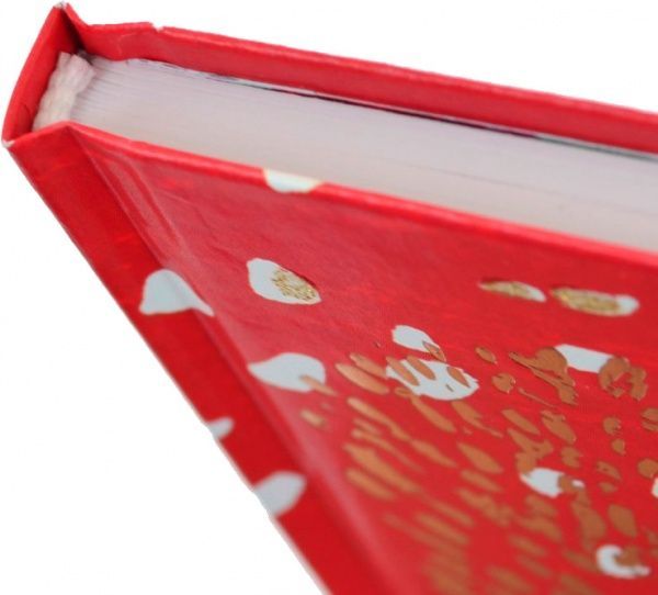 Блокнот Bon Cote. Red 100х200 мм YES