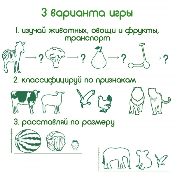 Набір магнітів Magdum Большой подарок ML4031-63 EN