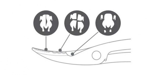 Ножиці для птиці President 638732 Tescoma