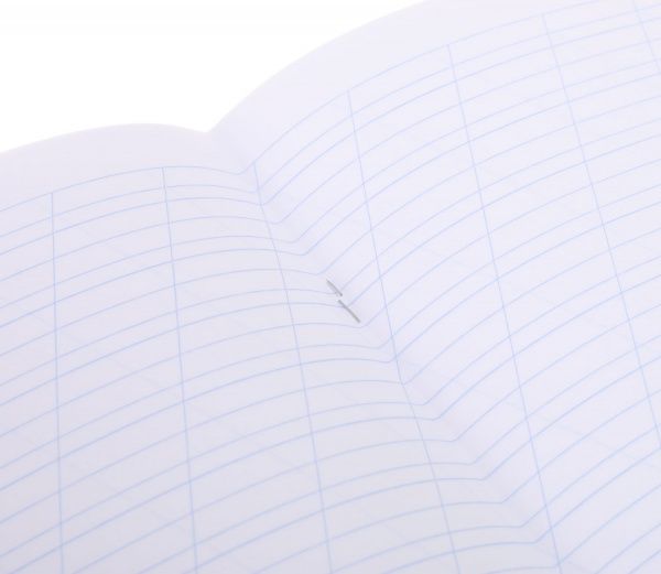 Зошит шкільний 12 аркушів в косу лінію зелений Мрії збуваються