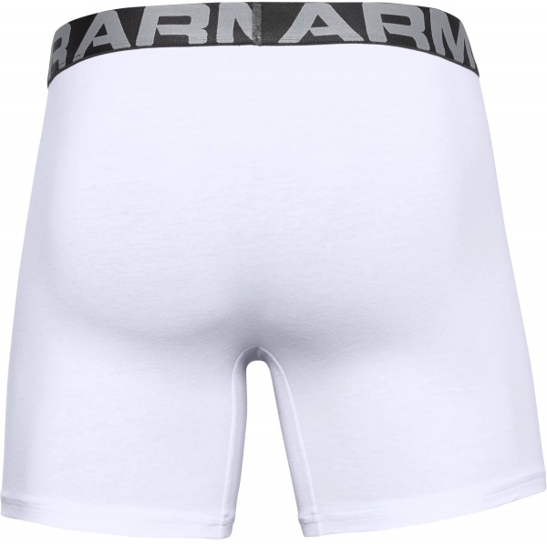 Труси Under Armour CHARGED COTTON 6IN 3 PACK 1363617-100 S бежевий