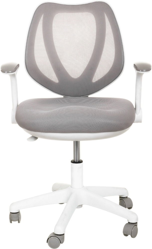 Крісло ігрове Центр Меблів Генрі біло-сірий