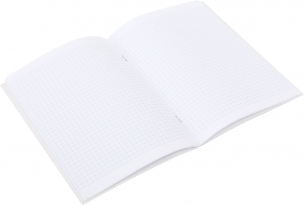 Блокнот А5 48 арк клітинка на скобі Bourgeois