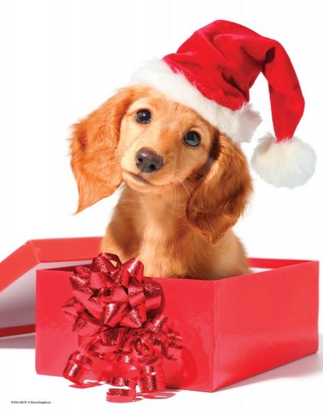 Пазл Eurographics Святкове цуценя 8104-0670